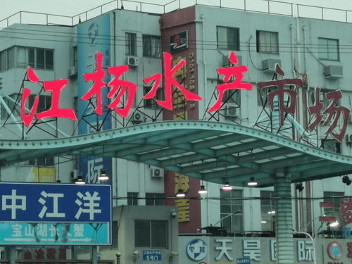 中國國際水產博覽會走進上海江楊水產市場與廈門商貿合作新篇章